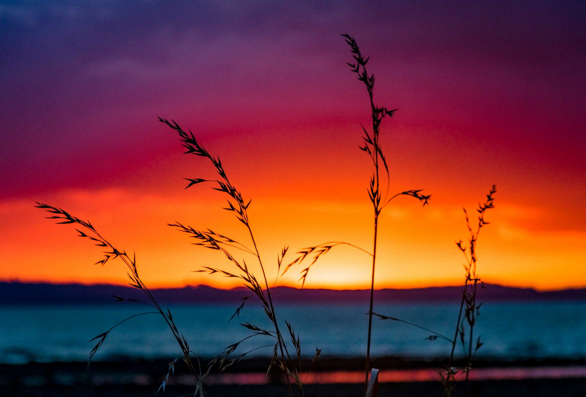 new zealand