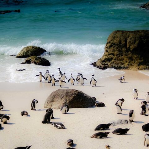 south africa