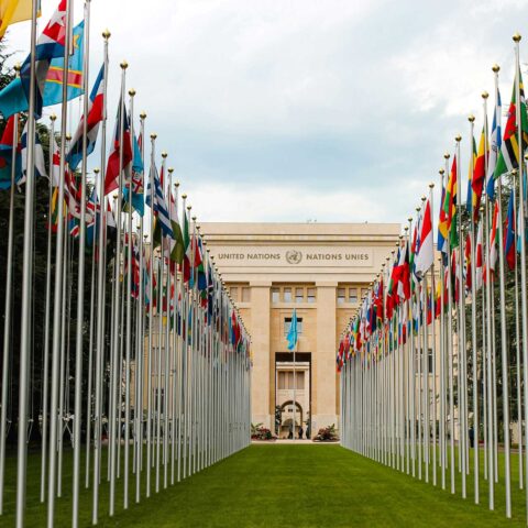 united nations tourism