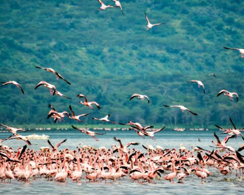 kenya tourism