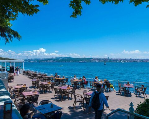 turkey