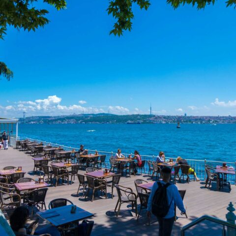turkey
