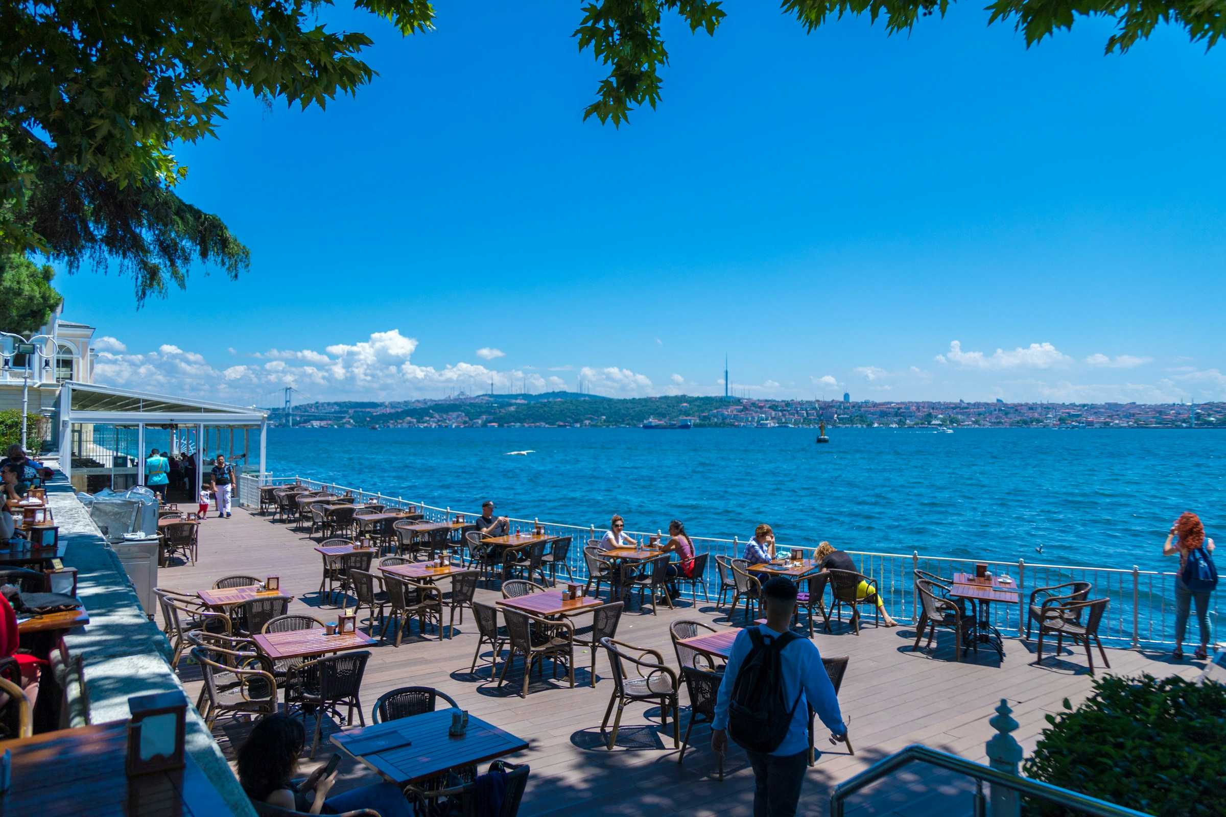 turkey