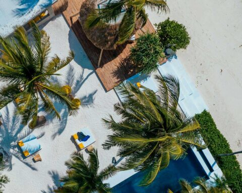 zanzibar