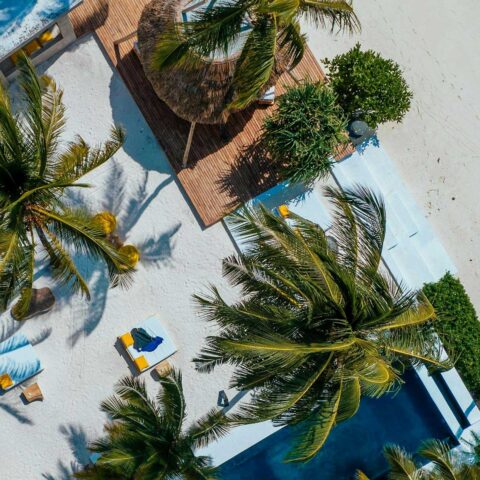 zanzibar